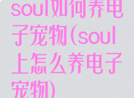 soul如何养电子宠物(soul上怎么养电子宠物)