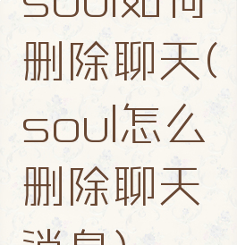 soul如何删除聊天(soul怎么删除聊天消息)