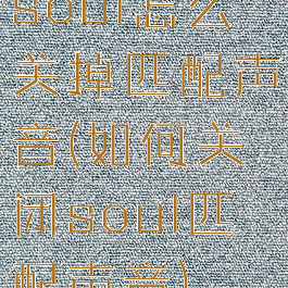 soul怎么关掉匹配声音(如何关闭soul匹配声音)