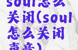 soul怎么关闭(soul怎么关闭声音)