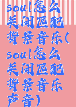 soul怎么关闭匹配背景音乐(soul怎么关闭匹配背景音乐声音)