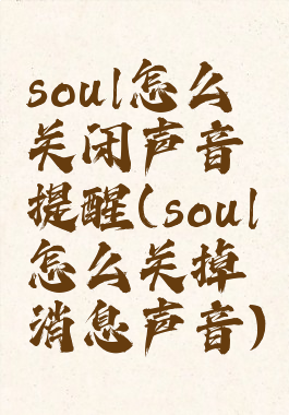 soul怎么关闭声音提醒(soul怎么关掉消息声音)