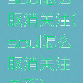 soul怎么取消关注(soul怎么取消关注关系)