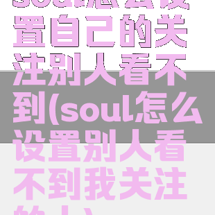 soul怎么设置自己的关注别人看不到(soul怎么设置别人看不到我关注的人)