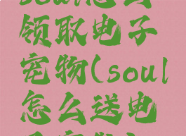 soul怎么领取电子宠物(soul怎么送电子宠物)