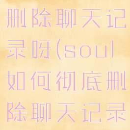 soul怎样删除聊天记录呀(soul如何彻底删除聊天记录)