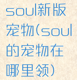 soul新版宠物(soul的宠物在哪里领)