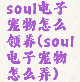 soul电子宠物怎么领养(soul电子宠物怎么弄)