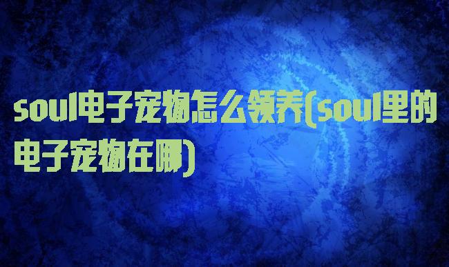 soul电子宠物怎么领养(soul里的电子宠物在哪)