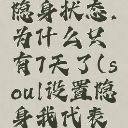soul设置隐身状态,为什么只有7天了(soul设置隐身我代表什么)