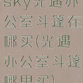 sky光遇办公室斗篷在哪买(光遇办公室斗篷哪里买)