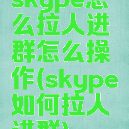 skype怎么拉人进群怎么操作(skype如何拉人进群)