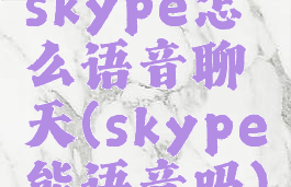 skype怎么语音聊天(skype能语音吗)