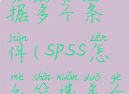 spss筛选数据多个条件(spss怎么筛选多个变量)