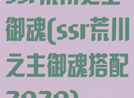 ssr荒川之主御魂(ssr荒川之主御魂搭配2020)