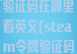 steam令牌验证码在哪里看英文(steam令牌验证码多久有效)