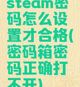 steam密码怎么设置才合格(密码箱密码正确打不开)