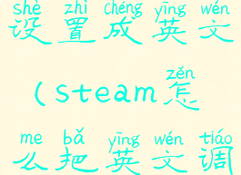 steam怎么设置成英文(steam怎么把英文调成中文)