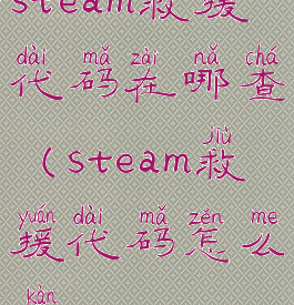 steam救援代码在哪查(steam救援代码怎么看)