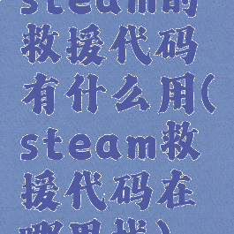 steam的救援代码有什么用(steam救援代码在哪里找)