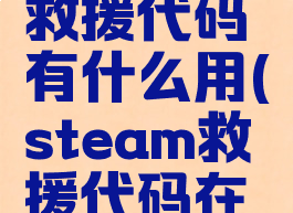 steam的救援代码有什么用(steam救援代码在哪里找)