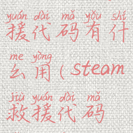 steam的救援代码有什么用(steam救援代码怎么用)
