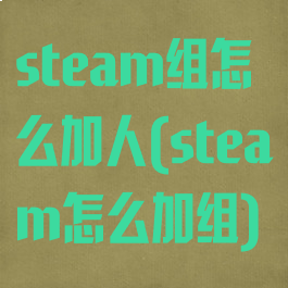 steam组怎么加人(steam怎么加组)