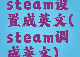 steam设置成英文(steam调成英文)