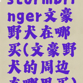 stormbringer文豪野犬在哪买(文豪野犬的周边在哪里买)