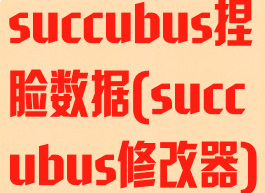 succubus捏脸数据(succubus修改器)