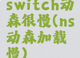 switch动森很慢(ns动森加载慢)