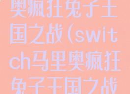 switch马里奥疯狂兔子王国之战(switch马里奥疯狂兔子王国之战可以双人吗)