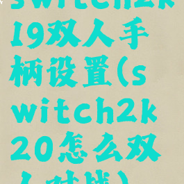 switch2k19双人手柄设置(switch2k20怎么双人对战)