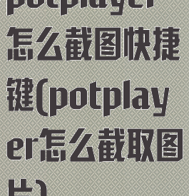 potplayer怎么截图快捷键(potplayer怎么截取图片)