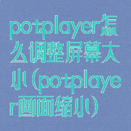 potplayer怎么调整屏幕大小(potplayer画面缩小)