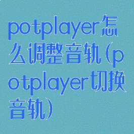 potplayer怎么调整音轨(potplayer切换音轨)