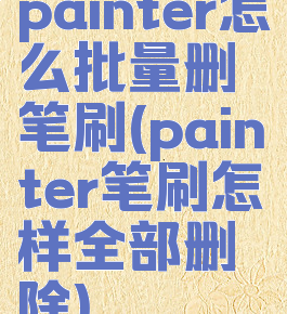 painter怎么批量删笔刷(painter笔刷怎样全部删除)