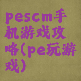 pescm手机游戏攻略(pe玩游戏)