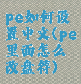 pe如何设置中文(pe里面怎么改盘符)