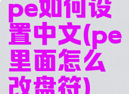 pe如何设置中文(pe里面怎么改盘符)