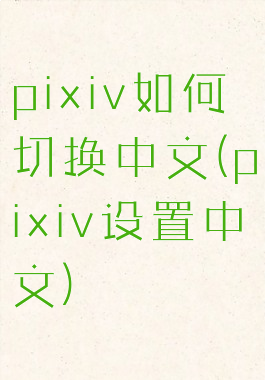 pixiv如何切换中文(pixiv设置中文)