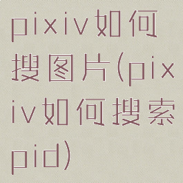 pixiv如何搜图片(pixiv如何搜索pid)