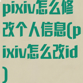 pixiv怎么修改个人信息(pixiv怎么改id)