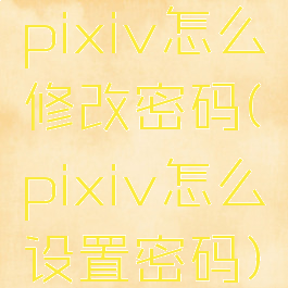 pixiv怎么修改密码(pixiv怎么设置密码)