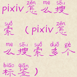 pixiv怎么搜索(pixiv怎么搜索多个标签)