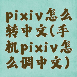pixiv怎么转中文(手机pixiv怎么调中文)