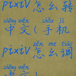 pixiv怎么转中文(手机pixiv怎么调中文)