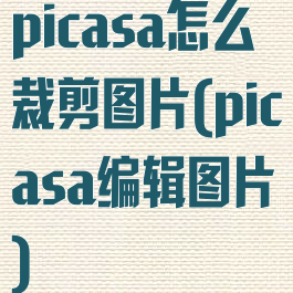 picasa怎么裁剪图片(picasa编辑图片)