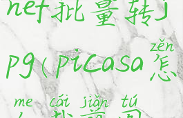 picasa3怎么nef批量转jpg(picasa怎么裁剪图片)
