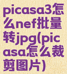 picasa3怎么nef批量转jpg(picasa怎么裁剪图片)